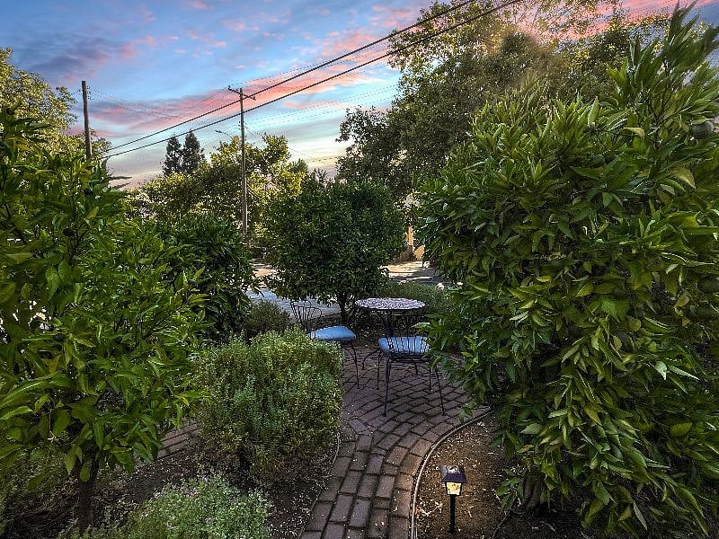 Private patio area with fruit trees and roses