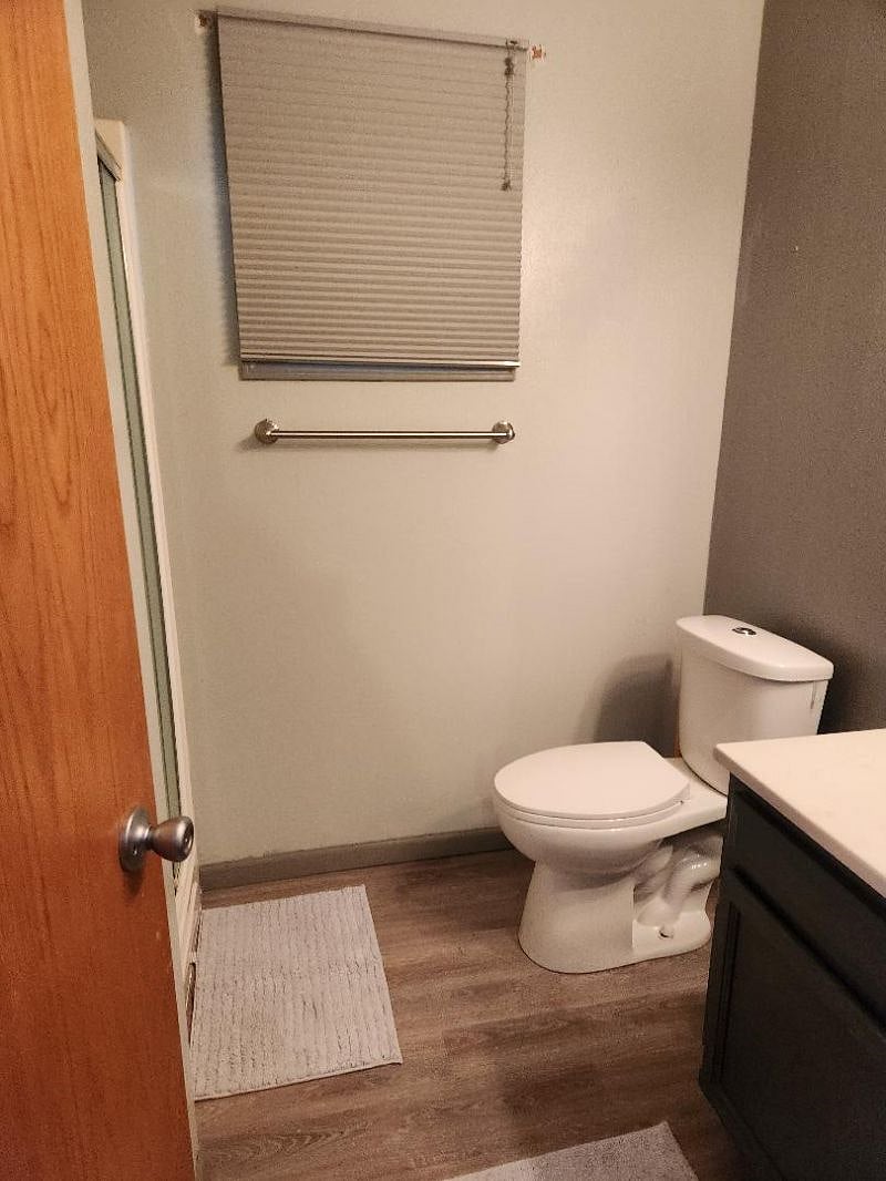 Lower level bathroom