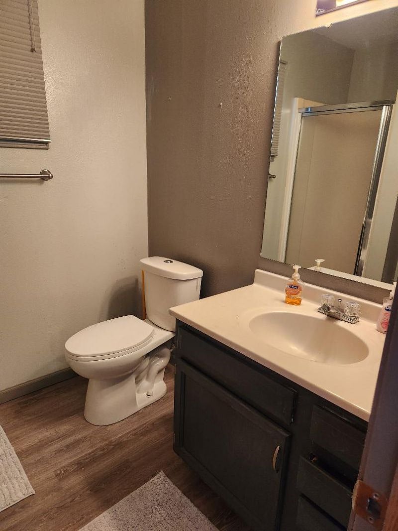 Lower level bathroom
