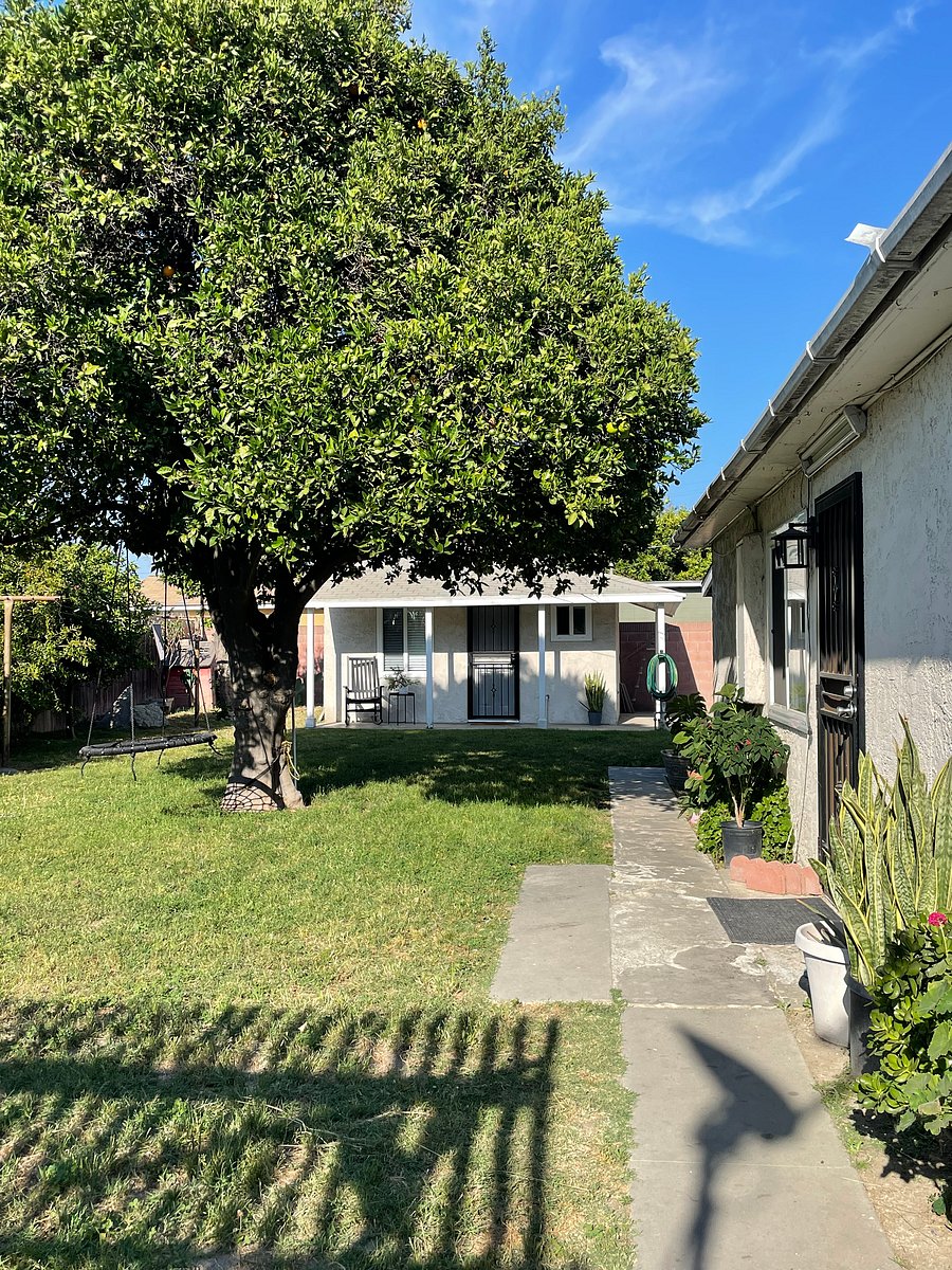 Furnished Finder property 534379_1 photo 14