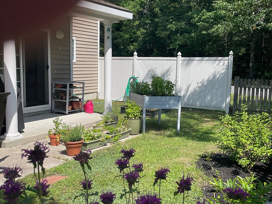 Furnished Finder property 534407_1 photo 25