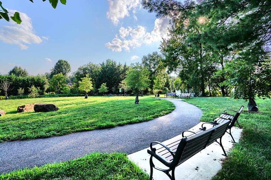 Furnished Finder property 534436_1 photo 26