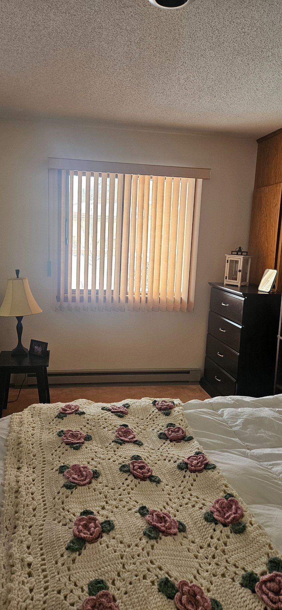 Lower level bedroom