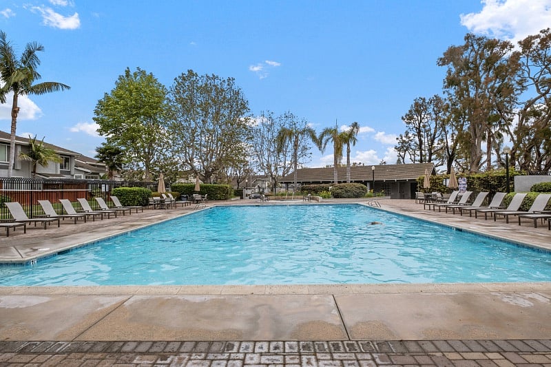 Furnished Finder property 534655_1 photo 34