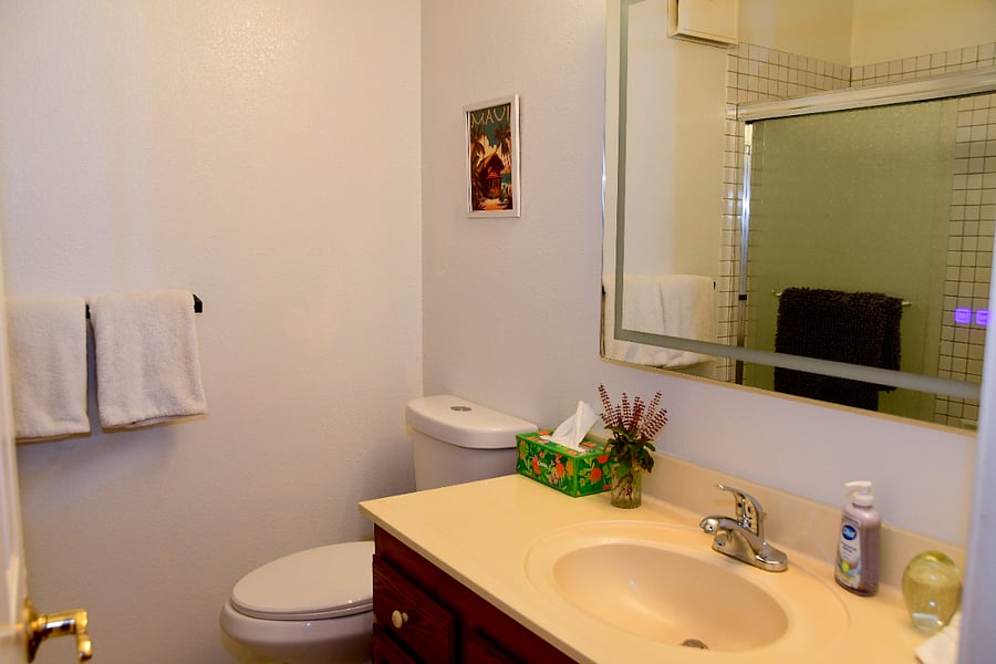 Furnished Finder property 534864_2 photo 14