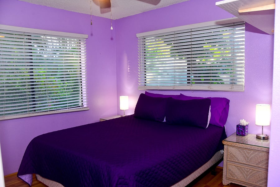 Furnished Finder property 534864_2 photo 7