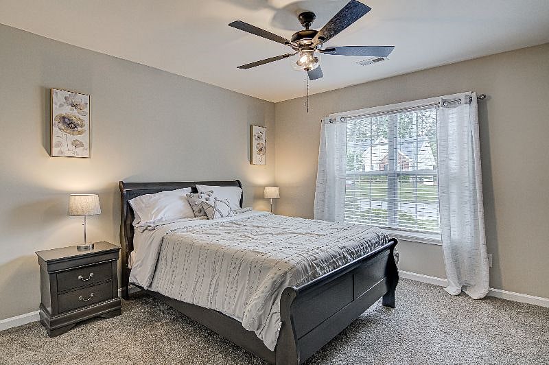 Furnished Finder property 534898_1 photo 11