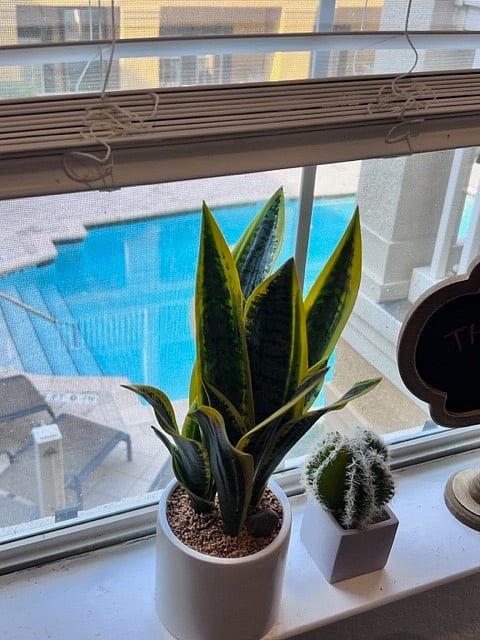Pool view