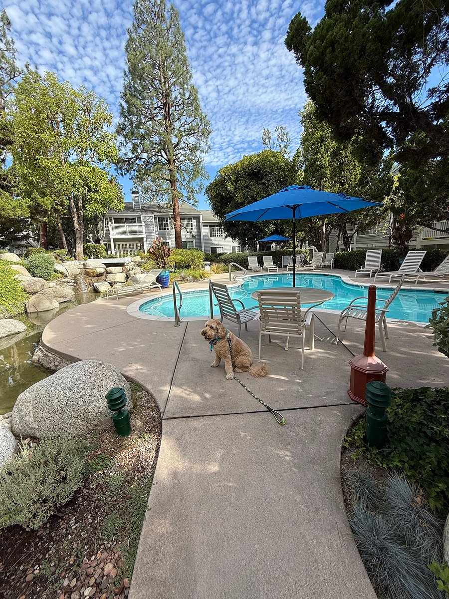 Furnished Finder property 535044_1 photo 14