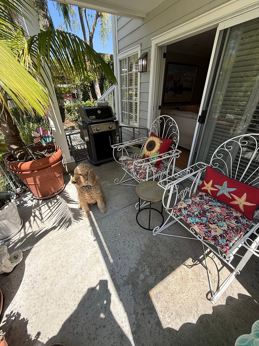 Furnished Finder property 535044_1 photo 13