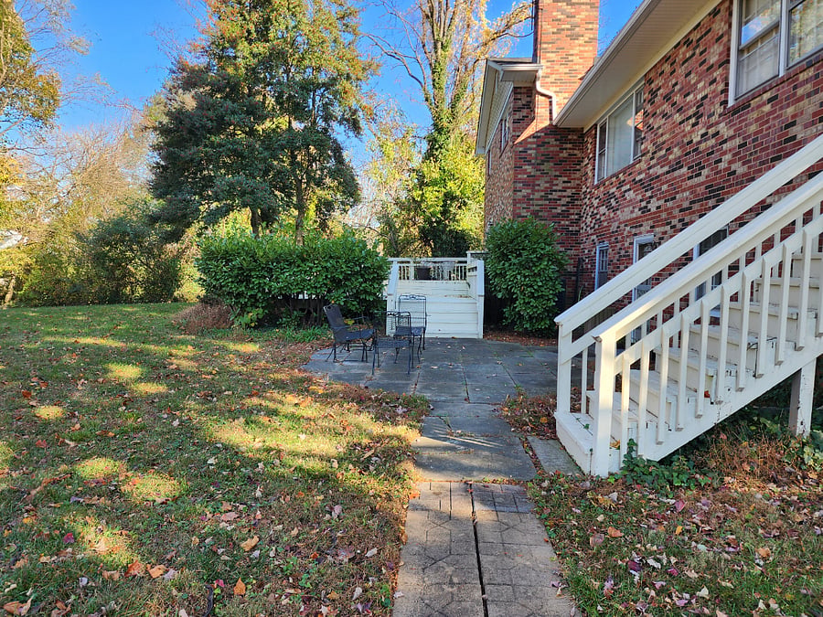 Furnished Finder property 535198_2 photo 17