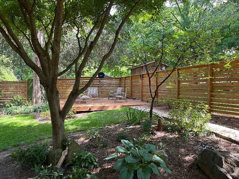 outdoor living space under a cypress tree