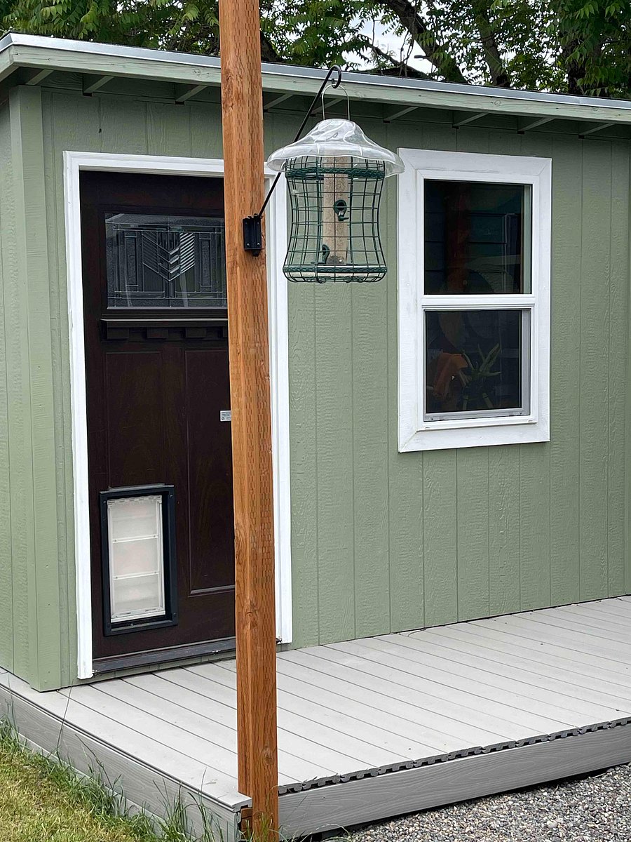 Storage shed with dog door.