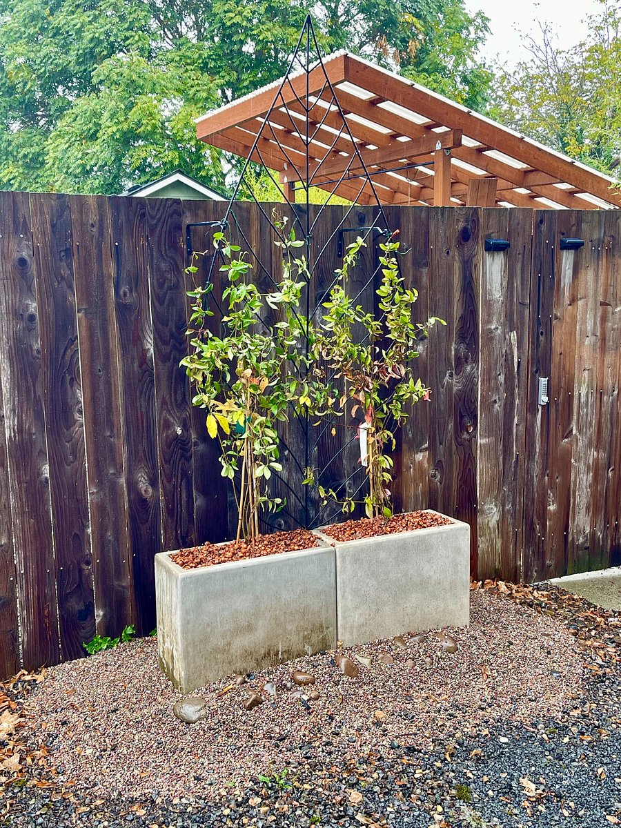 Iron trellis next to six foot key code gate entry into garden.