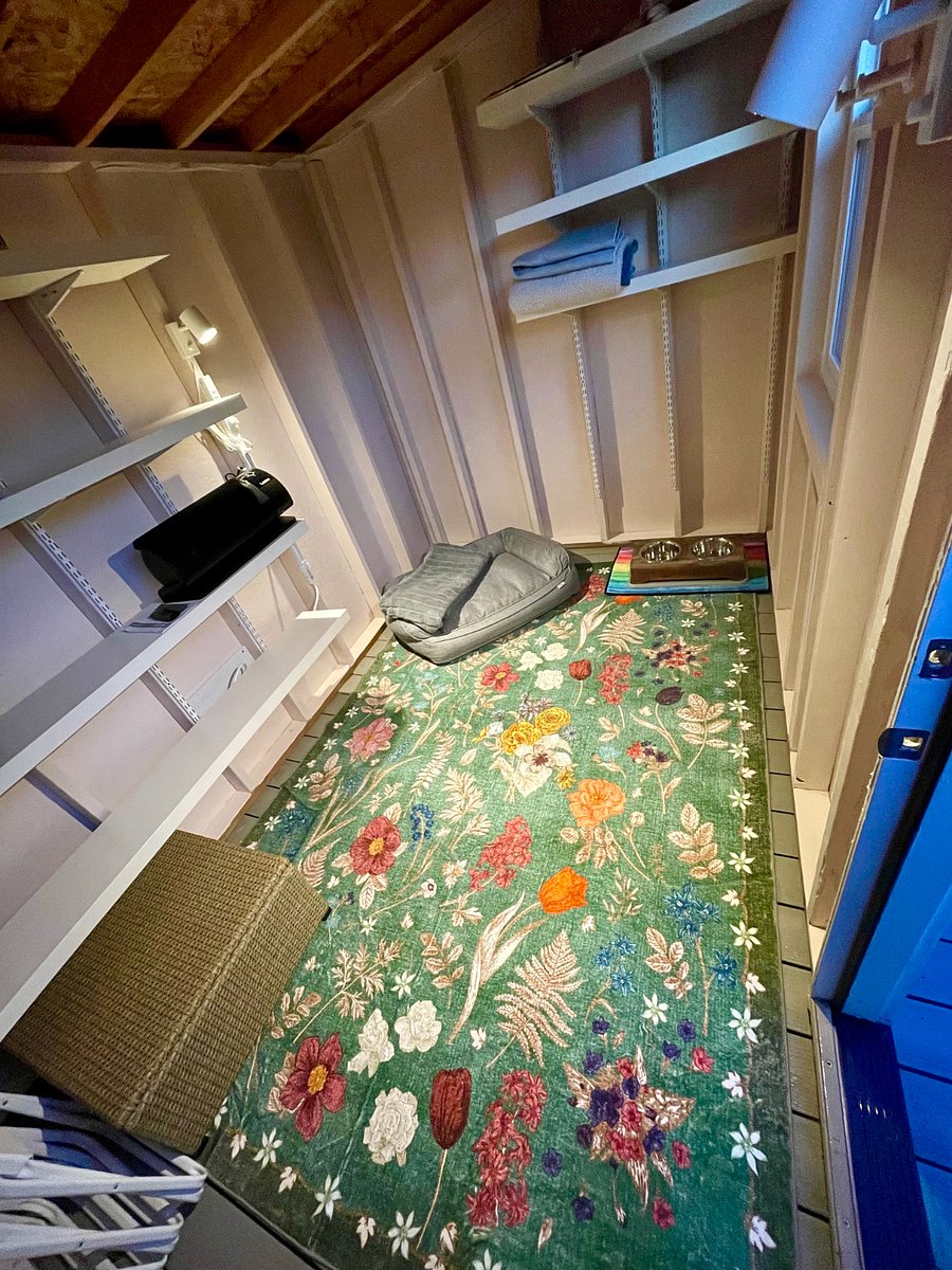 Interior of shed. Good for yoga, storage, etc. Dog bed, dog blankets, and bowls provided upon request. Electric heater with remote installed. Large enough for lounging, or lots of storage. Soft washable carpet keeps things very cozy.