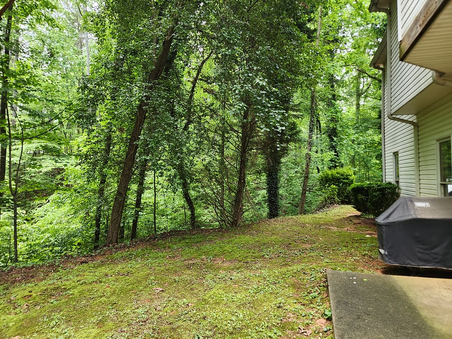 Furnished Finder property 535230_1 photo 21