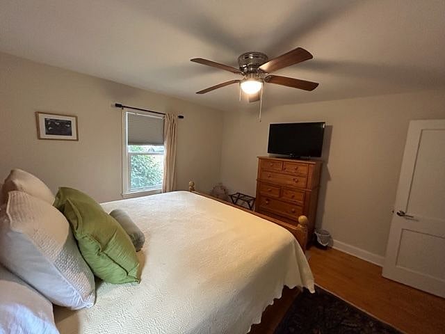 Furnished Finder property 535401_1 photo 21