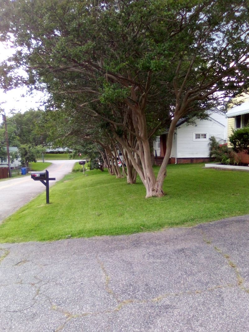 Furnished Finder property 535408_1 photo 4