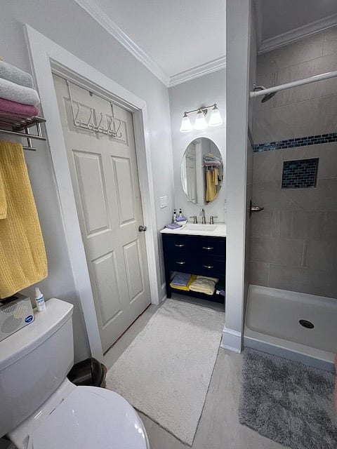 Furnished Finder property 535408_1 photo 18