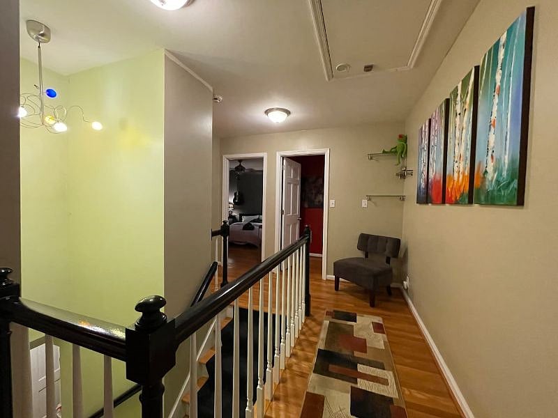 Furnished Finder property 535503_1 photo 13