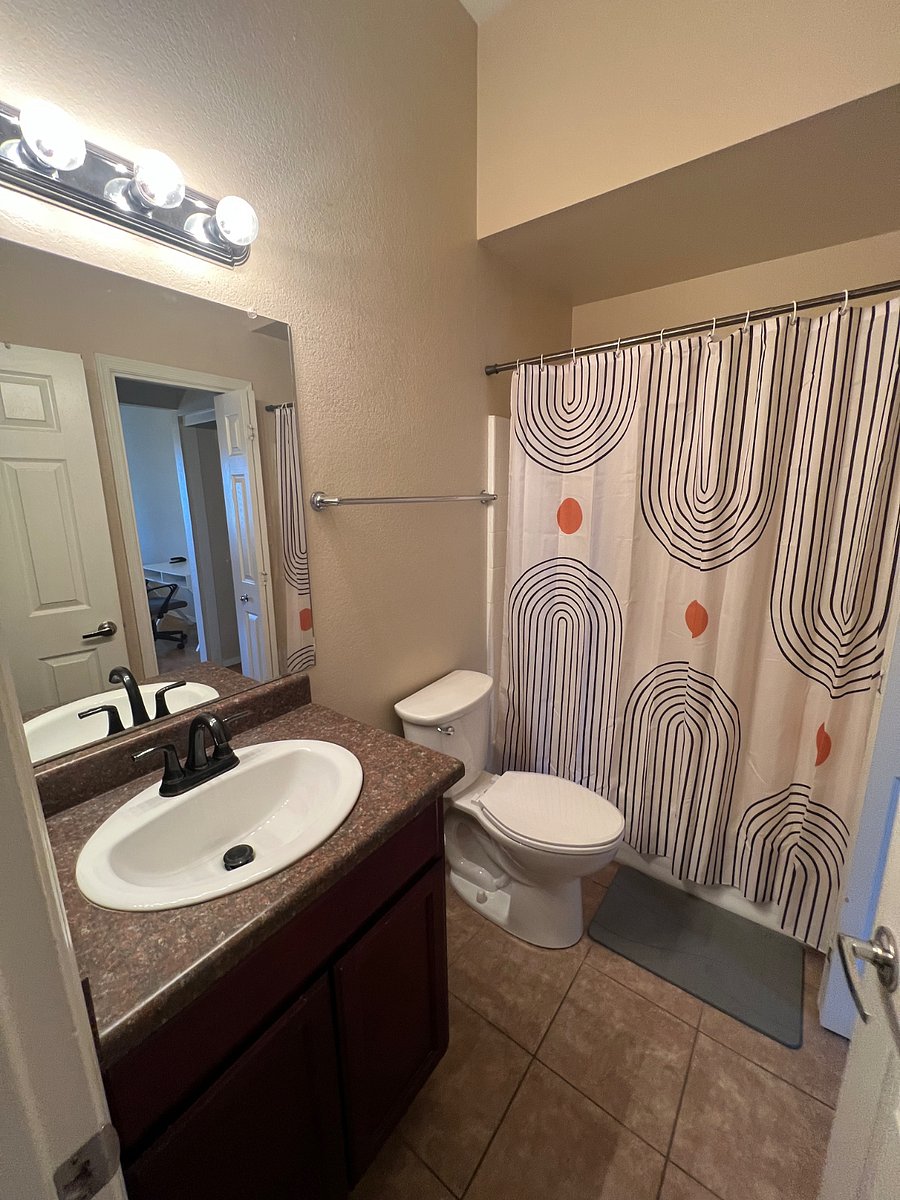 Furnished Finder property 535514_1 photo 17