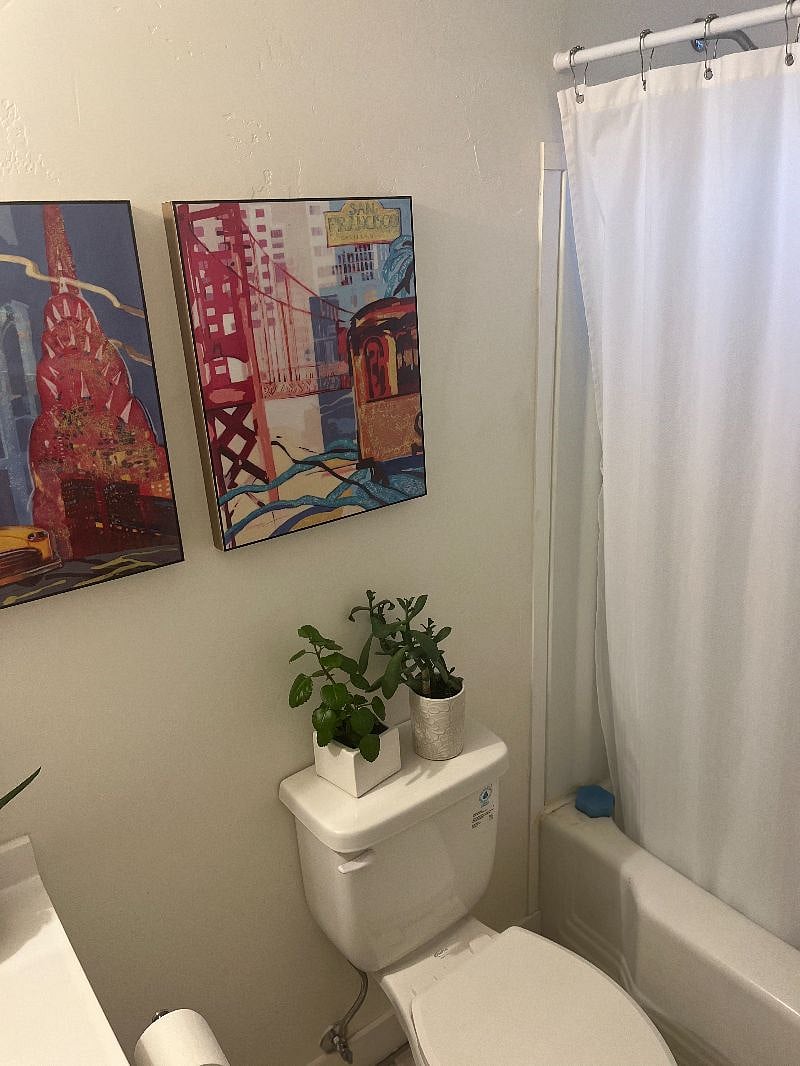 Furnished Finder property 535552_1 photo 5