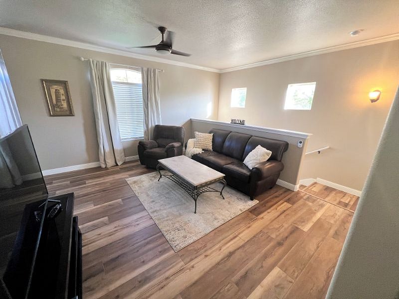 Furnished Finder property 535679_1 photo 8