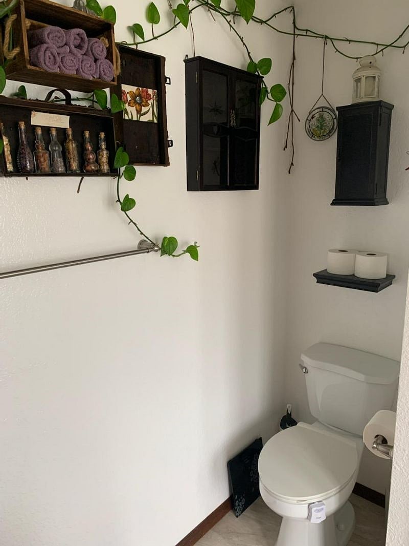Furnished Finder property 535764_1 photo 15