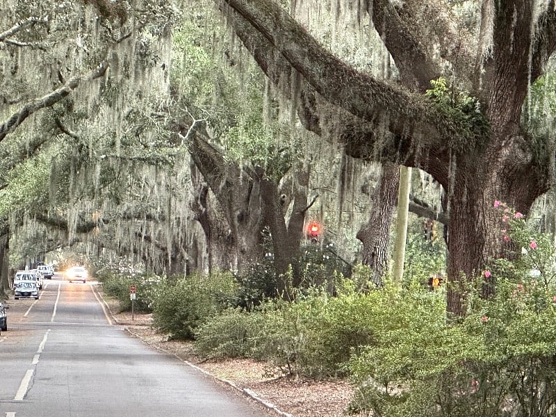 Washington Blvd one block over the famous Savannah Oak trees   - what a wonderful jog or walk to the many neighborhood squares  along the way