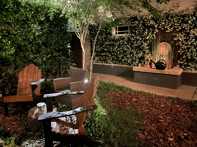 lovely evening backyard lights