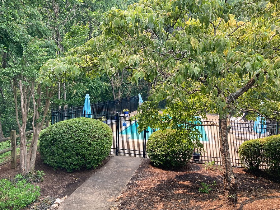 Furnished Finder property 535846_1 photo 20