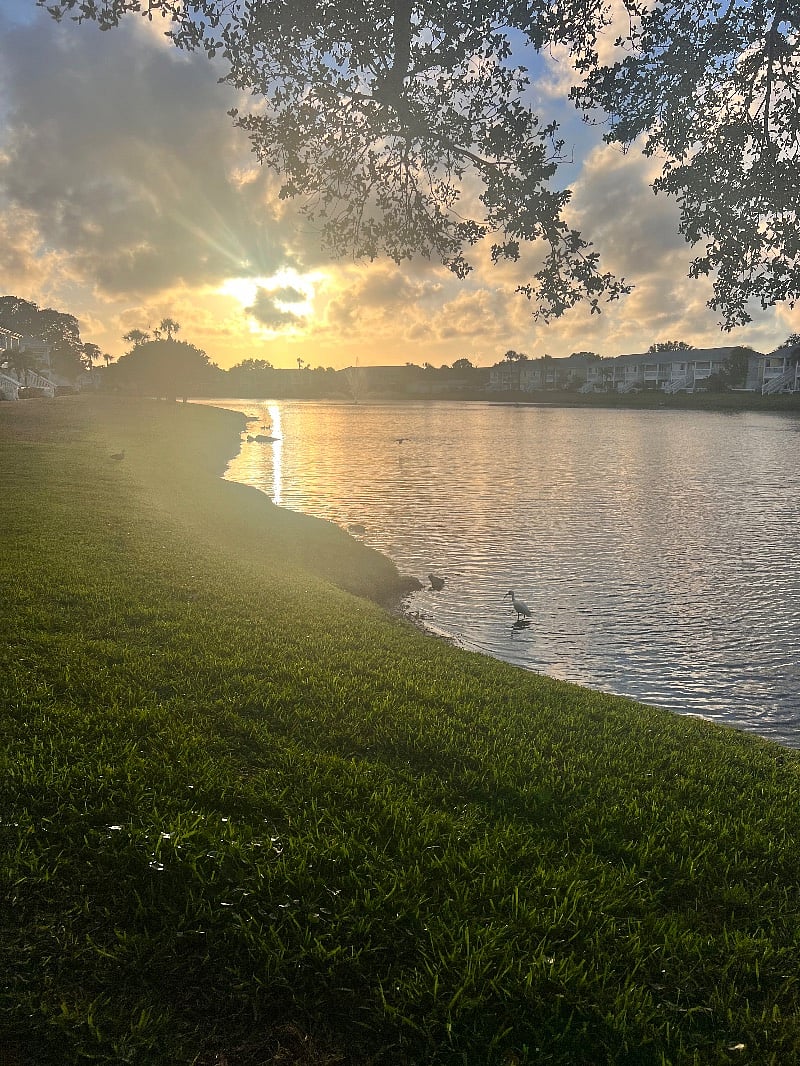 Sunset