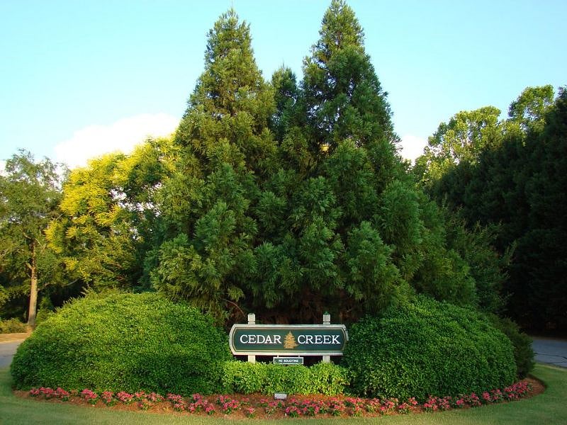 Beautiful neighborhood in Athens.  Tons of mature trees, birds, owls, deer, fox, and others.
