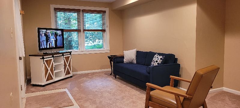 Den area