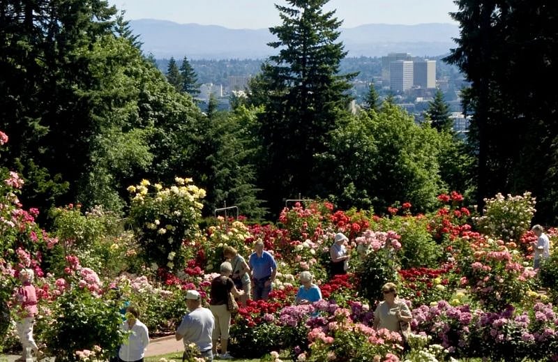 1 mile to the Portlands international Rose Garden