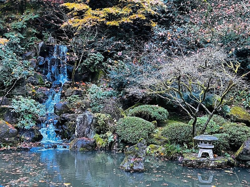 Explore the Portland Japanese Gardens