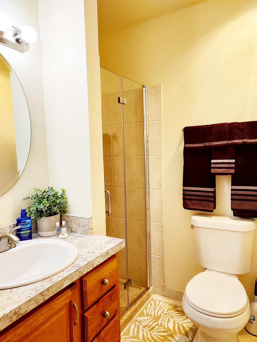 Furnished Finder property 536056_1 photo 5