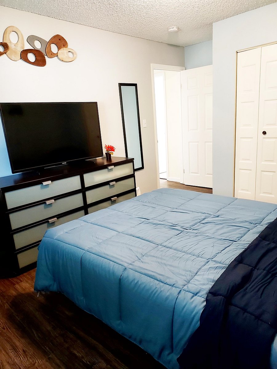 Furnished Finder property 536056_1 photo 12