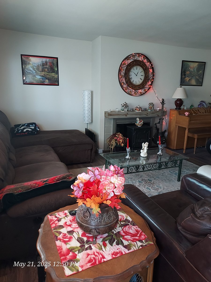 Furnished Finder property 536056_1 photo 17