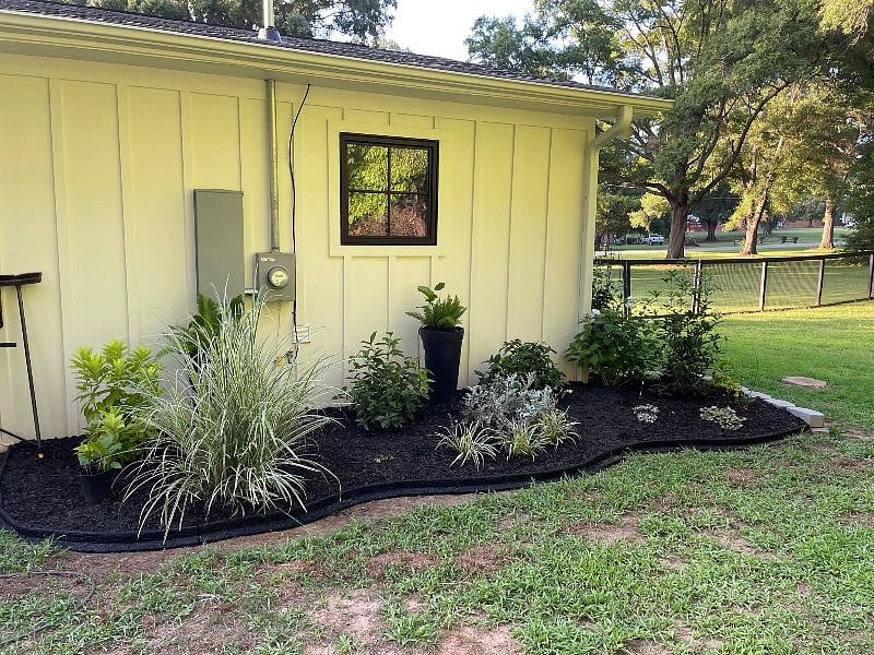 back yard landscaping