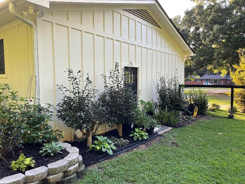 side yard landscaping