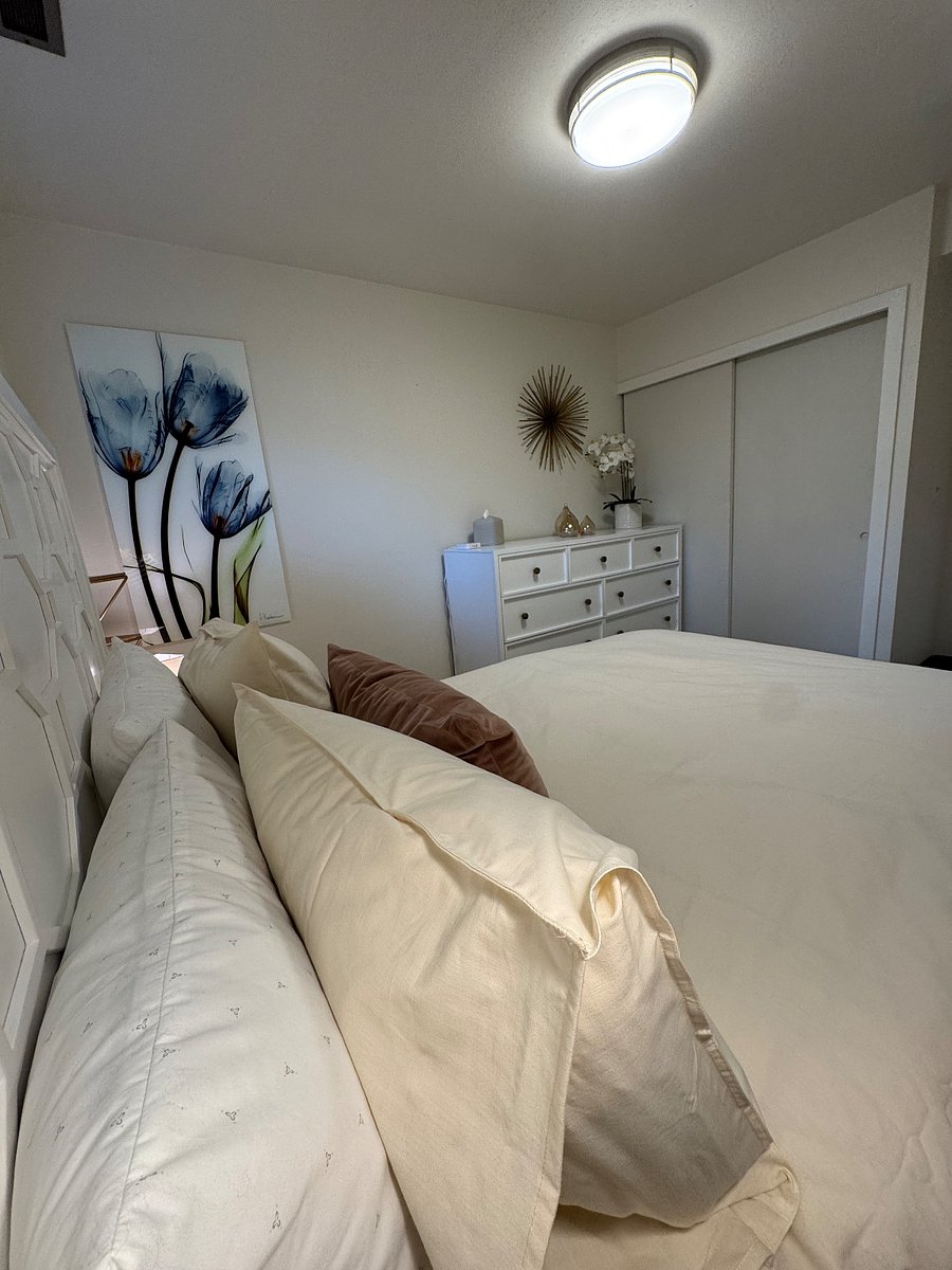 Furnished Finder property 536227_1 photo 8
