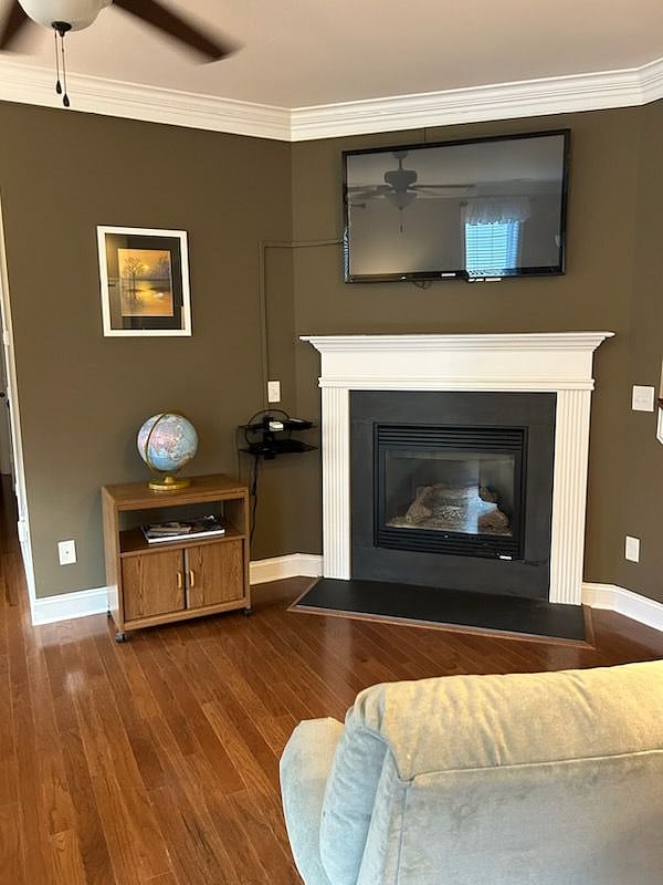 Furnished Finder property 536239_1 photo 21