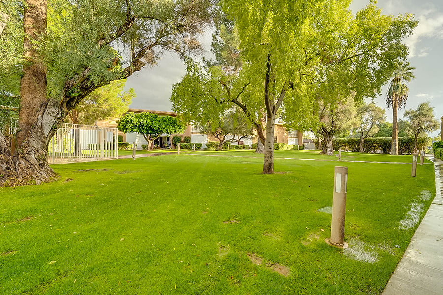Furnished Finder property 536299_1 photo 23