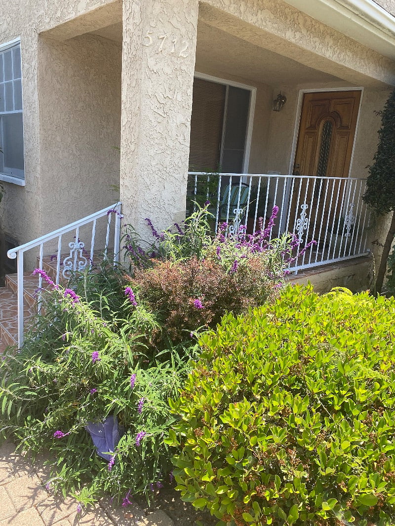 Furnished Finder property 536341_1 photo 5