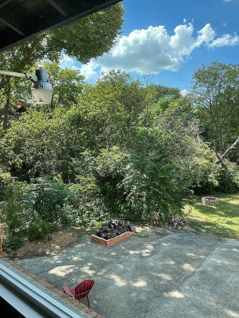 Furnished Finder property 536370_1 photo 4