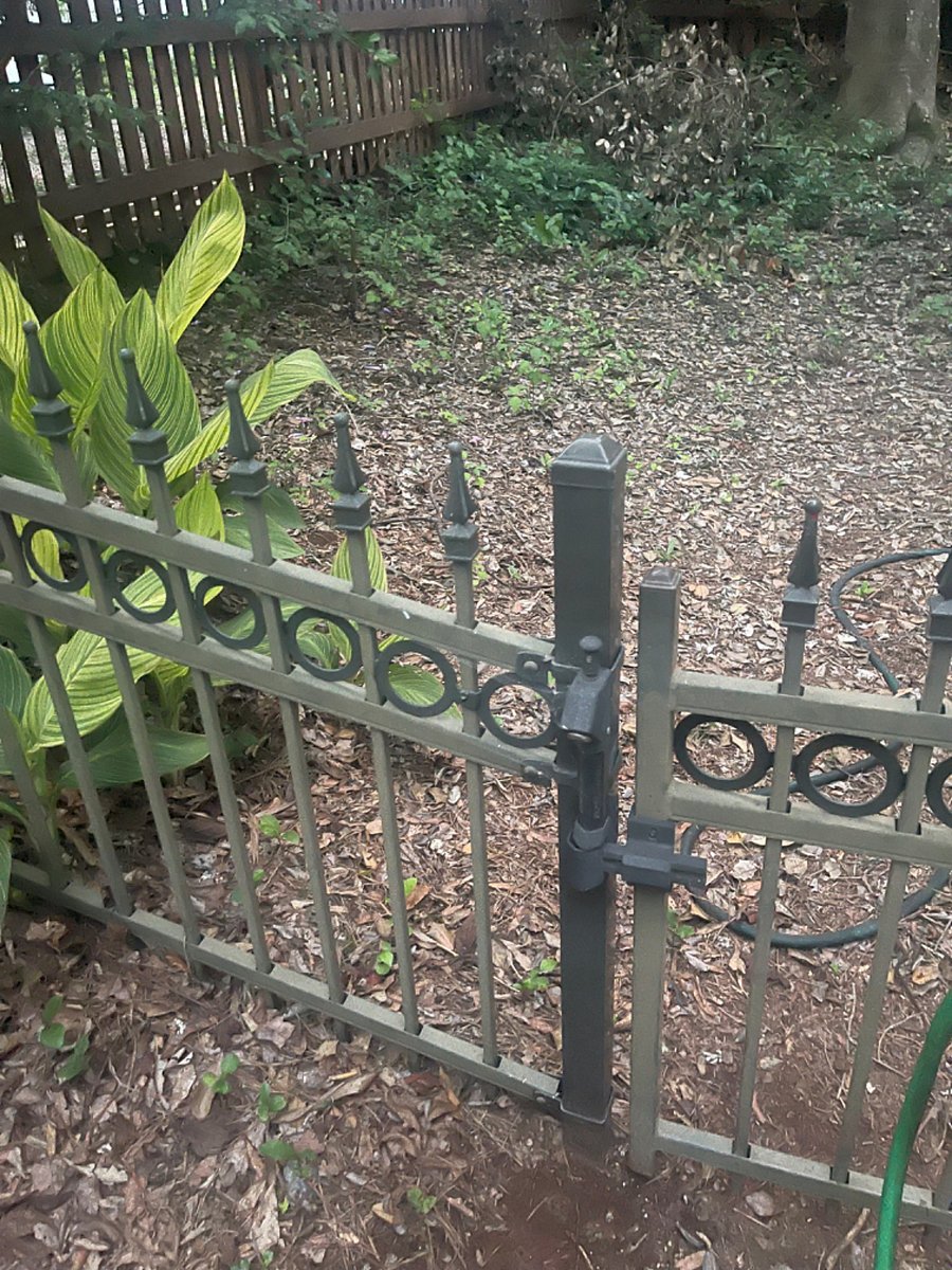 Small private fenced yard.