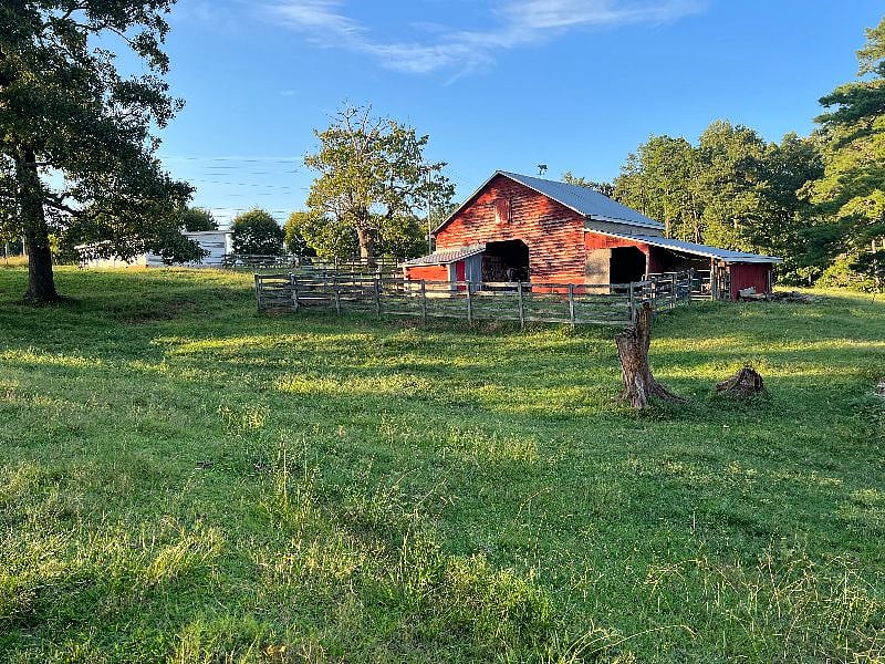 Lovely scenic property with cows. in a pasture and barn.  