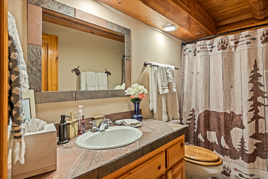 Furnished Finder property 536799_1 photo 30