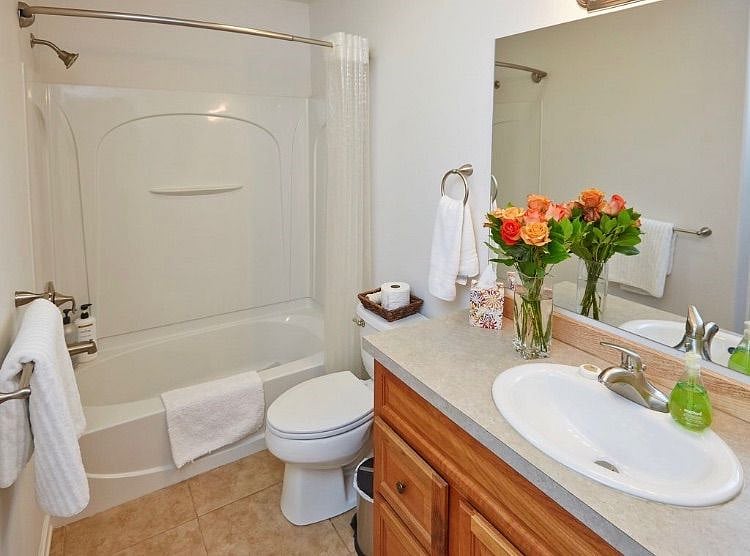 Furnished Finder property 536862_1 photo 11